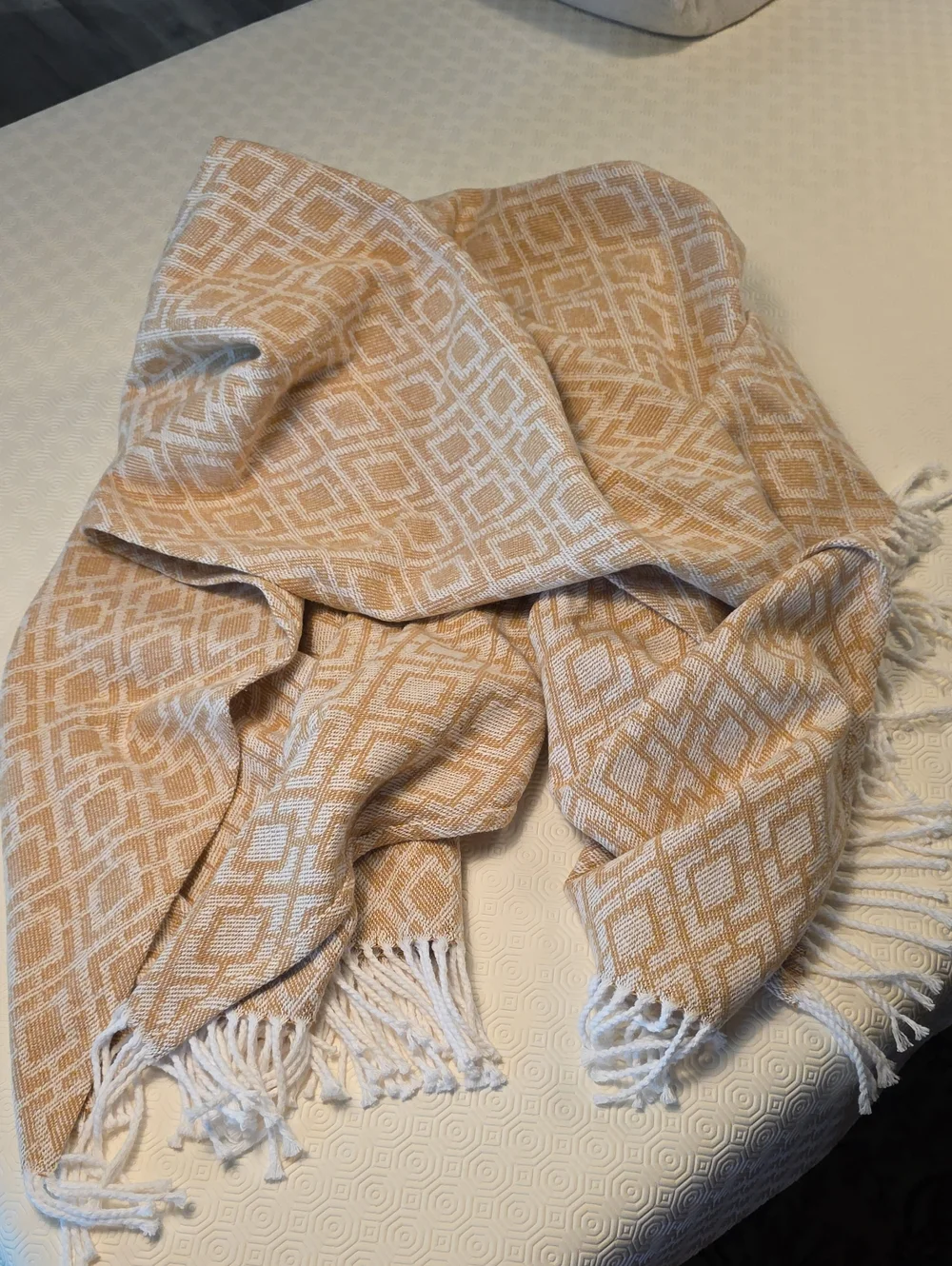 Linea Casa Beige & White Geometric Fringe Throw Blanket 52x70
